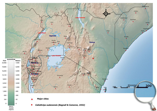 Distibution Map East Africa